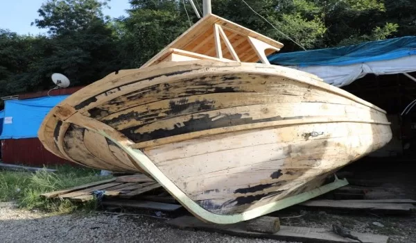 RÜYADA AĞAÇ TEKNE GÖRMEK