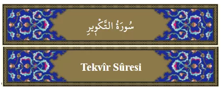 RUYADA  TEKVIR GÖRMEK