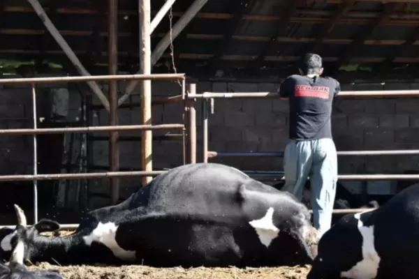 RUYADA   ZAYİ  VE  TELEF  ETMEK GÖRMEK