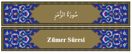 RUYADA   ZÜMER GÖRMEK